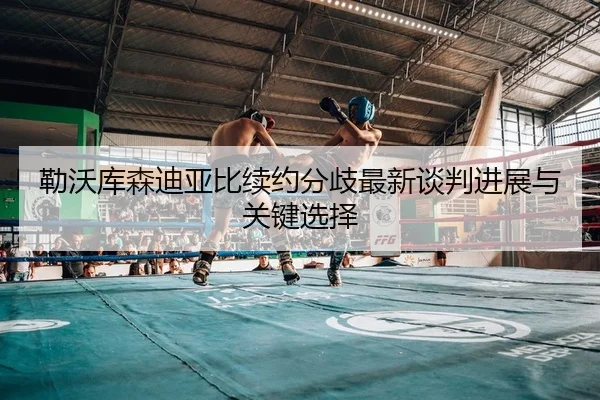 勒沃库森迪亚比续约分歧最新谈判进展与关键选择